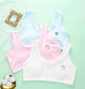 Celary Cotton Every Day Training Bra for Pre Teen Girls free size (8 to 16) years