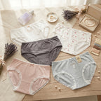 The Curated Collection of Comfort and Charm panty