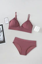 2 PC Brazilian Bikini Set - 4427
